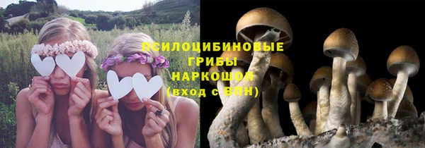 MESCALINE Арсеньев