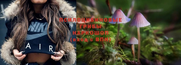каннабис Богданович
