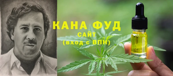 гашик Богородицк