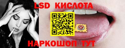 прущие грибы Анапа