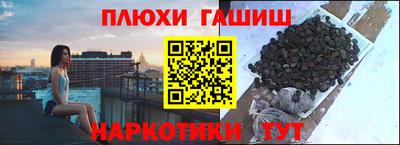 прущие грибы Анапа