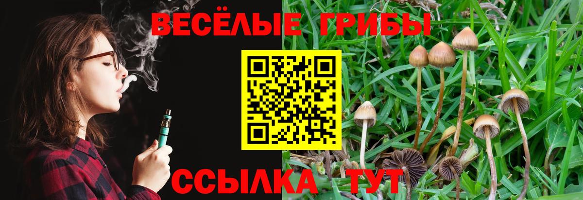 Псилоцибиновые грибы GOLDEN TEACHER Пятигорск